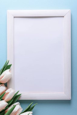 Ahşap kenarlı, mavi arka planda pembe laleler. Yıldönümü kutlaması. Yumuşak odak