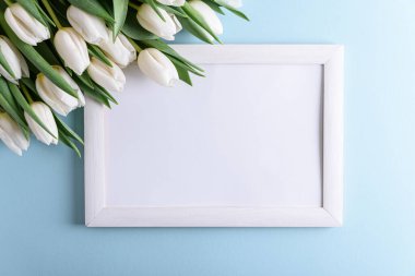 Ahşap kenarlı, mavi arka planda beyaz laleler. Yıldönümü kutlaması. Yumuşak odak