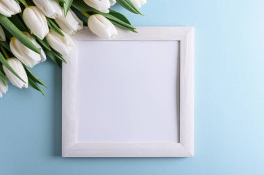 Ahşap kenarlı, mavi arka planda beyaz laleler. Yıldönümü kutlaması. Yumuşak odak