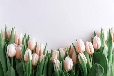 Beyaz arka planda pembe lale buketinin çiçek sınırı. Yıldönümü kutlaması. Uzayı kopyala Üst görünüm