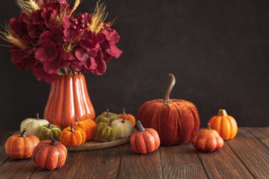 Ahşap bir yüzey üzerinde dekoratif mini balkabaklarının sonbahar kompozisyonu.