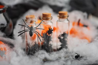Halloween Bottles with Spiders, Pumpkins and Cobwebs