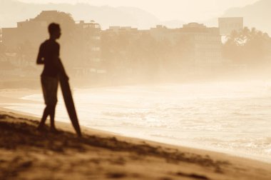 closeup of an insect butterfly in the green meadow