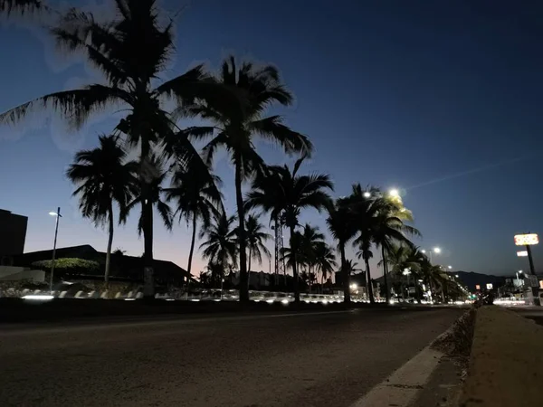Красивый Пляж Пальмами Закате — стоковое фото