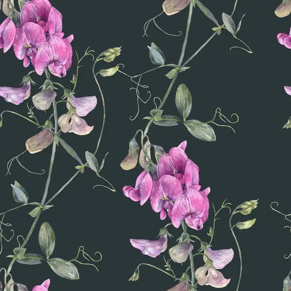 Elle boyanmış suluboya resim. Tertemiz bir çiçek deseni. İçinde yabani tatlı bezelye çiçekleri var..