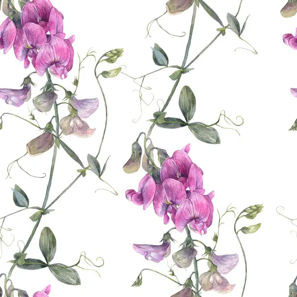 Elle boyanmış suluboya resim. Tertemiz bir çiçek deseni. İçinde yabani tatlı bezelye çiçekleri var..