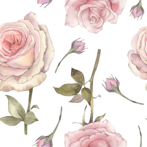 Zarif pembe gül çiçeklerinden oluşan pürüzsüz bir çiçek deseni. Elle boyanmış suluboya resimleme.