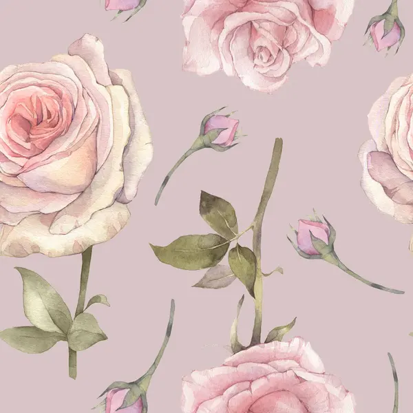 Zarif pembe gül çiçeklerinden oluşan pürüzsüz bir çiçek deseni. Elle boyanmış suluboya resimleme.