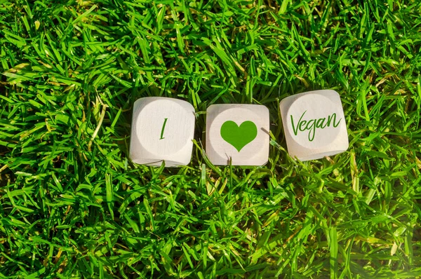 Cubes Dice Blocks Love Vegan Green Grass Background — Stock Photo, Image