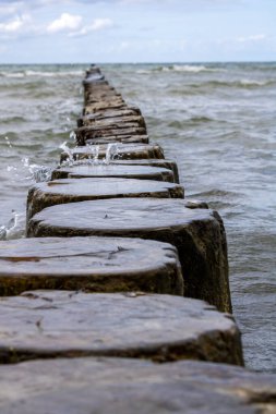Tahta dalga kırıcı ya da Baltık Denizi Almanya 'sında ahşaptan yapılmış dalgalanma suyu