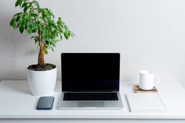 Siyah ekranlı bilgisayar, yeşil bitki, akıllı telefon ve bardak. Merkez ofis kavramı..