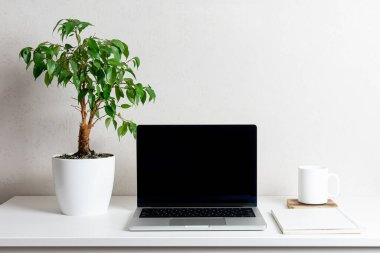 Siyah ekranlı bilgisayar, yeşil bitki ve kupa. Merkez ofis kavramı..