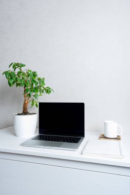 Siyah ekranlı bilgisayar, yeşil bitki ve kupa. Merkez ofis kavramı..