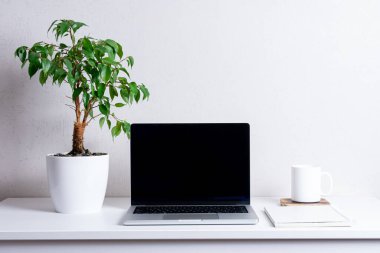 Siyah ekranlı bilgisayar, yeşil bitki ve kupa. Merkez ofis kavramı..