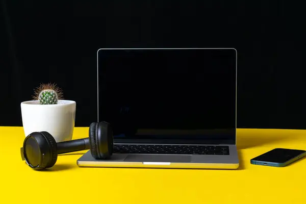 Kaktüs, kulaklık, akıllı telefon ve dizüstü bilgisayarı olan ofis masası.