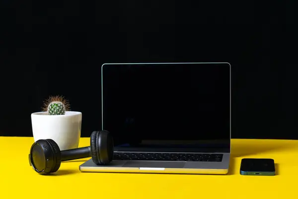 Kaktüs, kulaklık, akıllı telefon ve dizüstü bilgisayarı olan ofis masası.