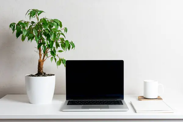 Siyah ekranlı bilgisayar, yeşil bitki ve kupa. Merkez ofis kavramı..