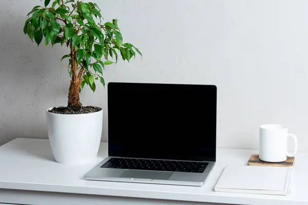 Siyah ekranlı bilgisayar, yeşil bitki ve kupa. Merkez ofis kavramı..