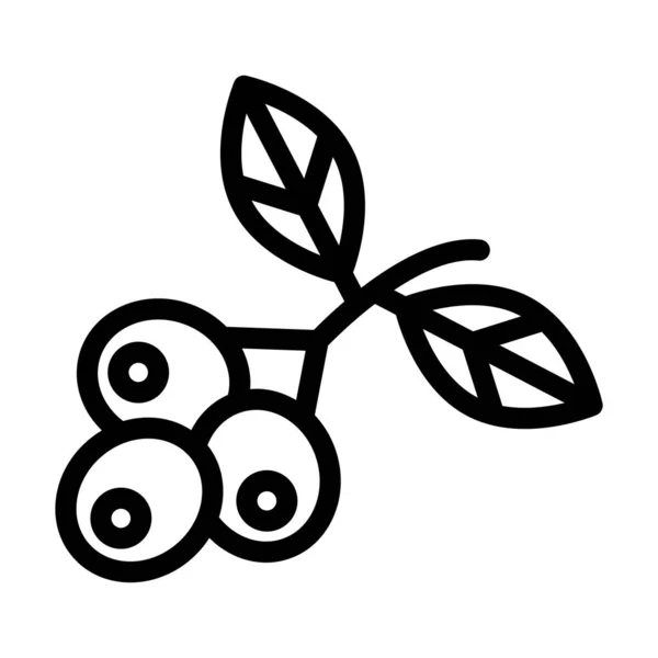 Blueberries Vector Thick Line Icon Für Den Persönlichen Und Kommerziellen — Stockvektor