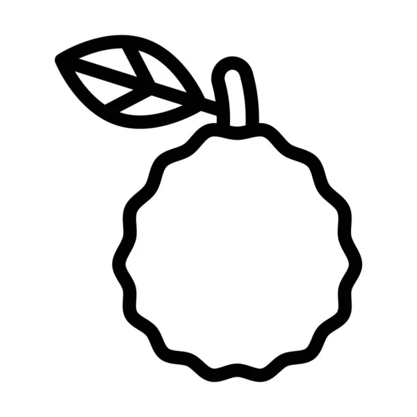 Ugli Fruit Vector Thick Line Icon Personal Commercial Use — 스톡 벡터