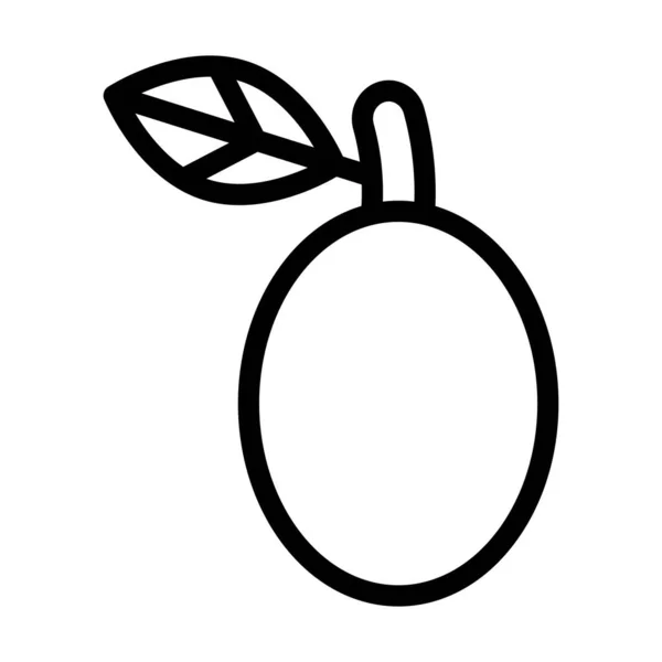 Ogeechee Limes Vector Thick Line Icon Für Den Persönlichen Und — Stockvektor