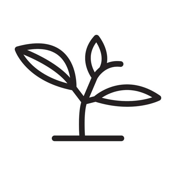 Grow Plant Vector Παχύ Εικονίδιο Γραμμής Για Προσωπική Και Εμπορική — Διανυσματικό Αρχείο