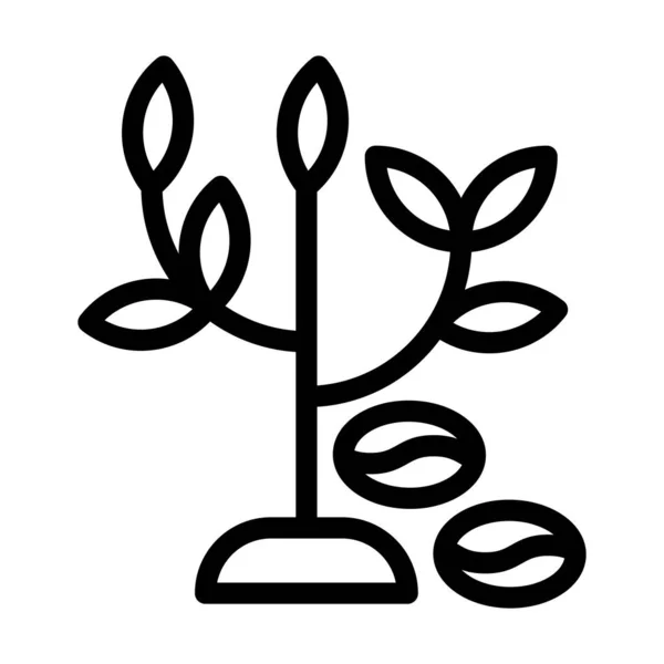 Ikona Wektora Drzewa Kawy Gruba Linia Użytku Osobistego Komercyjnego — Wektor stockowy