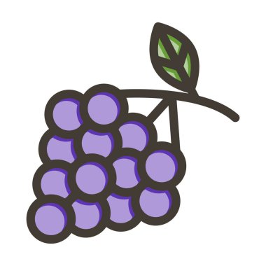 Zinfandel Üzümleri Kişisel ve Ticari Kullanım İçin Renklerle Dolu