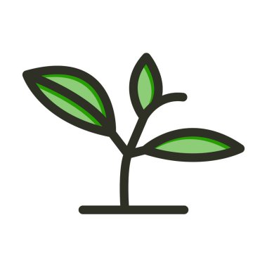 Kişisel ve Ticari Kullanım İçin Renk Simgesi Doldurulmuş Bitki Vektörü Kalın Çizgisi Büyüt