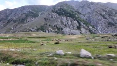 Huzur Vadisi Yeşil Çayır Manzarası, Dağ Manzarası, Buğday ve Ekinli Kır Tarlaları, ve Beyaz Bulutlu Güzel Mavi Gökyüzü, Dinlenme ve Seyahat İçin Mükemmel