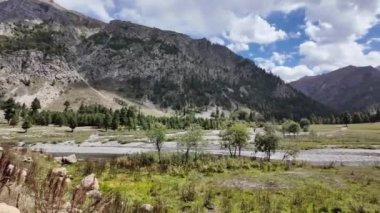 4K Yağmur Ormanı Vadisi Dağları Nehir, yemyeşil manzara, Yeşil Çim Tepeleri, Çam Ağaçları ve Sinema Bulutları, Kristal Temiz Su, Serene, Panoramik Taraflı Görünüm, Araba Sürücüsü