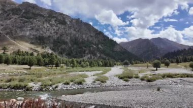 Berrak Yeşil Arazi, Çam Ağaçları ve Sinema Bulutları 'ndan geçen, Kristal berrak Su, Serene, 4K Yağmur Ormanı Vadisi' ndeki Güneş Işığıyla aydınlatılan, nefes kesici Dağ Sırası.
