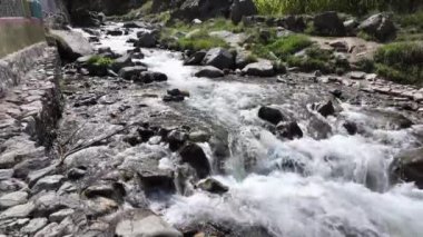 Rocky Sahilleri ve Taşları Arasında Hızlı Akan Kristal Nehir, Bereketli Mısır Tarlaları 'na bitişik, Yakından Görünüm