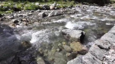 Sükunet Akan Dağ Nehri Rocky Duşları, Otlayan İnekler, Lush Mısır Tarlaları, Büyüleyici Evler, Güneşli Gök Altında Görkemli Dağlar Hareketli Bulutlar ve Nehir Altında Keyifli İnsanlar