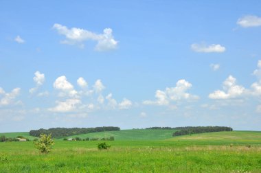 Mavi gökyüzünün altında birkaç beyaz bulutlu yeşil alanlar