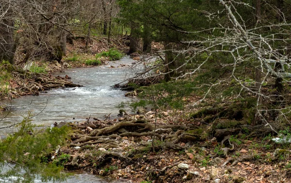 小さな蛇行した小川に沿って このミズーリ州の特性を平和的に流れる水 緑の木々やブラシが風景を埋め水が下流に移動します — ストック写真