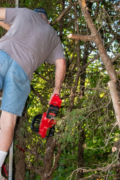 An unidentifiable man stands on the ladder of a tree stand and uses a chain saw to clear away some brush to make a clear shooting lane. Bokeh.