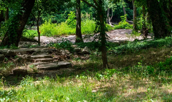 Сцена Мирной Природы Лесу Миссури Красивой Пешеходной Дорожкой Цементными Ступеньками — стоковое фото
