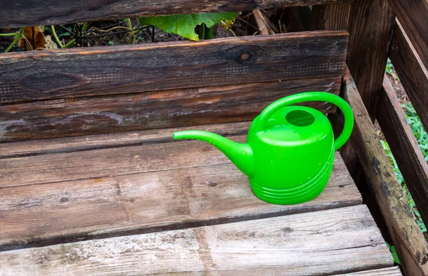 Ένα Μικρό Μικρό Πράσινο Κουτάκι Νερού Κάθεται Στο Εξωτερικό Ξύλινο — Φωτογραφία Αρχείου