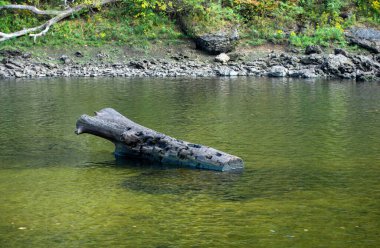Arkansas nehrindeki bu büyük kütüğe yakından bakınca bir balıkçının balık oltasını kaybettiğini ve bu oltanın kendine özgü kütüğe takıldığını görüyoruz. Bokeh.