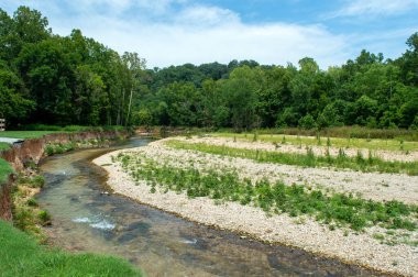 Banka battı ama Arkansas 'taki akarsu bu sıcak günde huzur içinde akıyor..