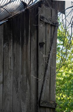 Missouri 'de yeşil ağaçların çözünmüş yapraklarıyla çevrili eski ahşap bir ahır kapısının yer aldığı bir köy manzarası..