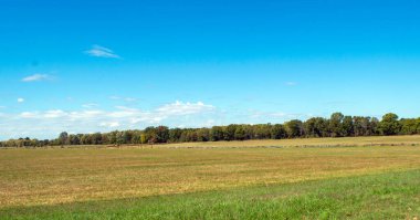 Geniş, yeşil ve mavi renklerle kaplanmış güzel bir açık ağaç tarlası. Merkezden geçen kırsal ahşap bir çit Arkansas manzarasını gözler önüne seriyor. Huzur ve sükunetin rahatlatıcı atmosferi.