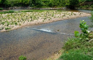 Arkansas Eyaleti 'ndeki sığ bir tatlı su kaynağında küçük bir şelalenin üzerinden su sıçrıyor..