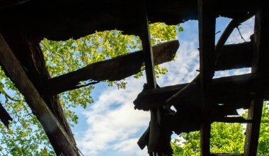 Beyaz bulutlar ve zıt yeşil ağaç yapraklarıyla güzel mavi bir gökyüzü çökmüş eski bir çatıdan görülebilir. Sadece birkaç çürük tahta kaldı..