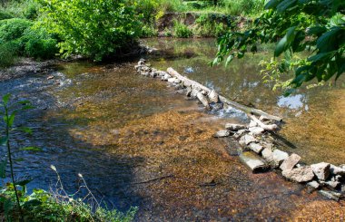 Kütükler ve kayalar ve sığ bir derenin karşısında küçük bir adam oluşturmak için kullanıldı. Yeşiller yemyeşil bir çerçeve oluşturuyor. Gözü küçük barikata çekiyor.