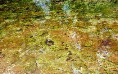 Sığ bir derenin dibindeki berrak sulara yakından bakmak şekiller, dokular, renkler ve yansımalarla ilginç bir zemin oluşturur..