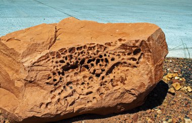 Large reddish brown boulder captures the attention with character and randomly shaped holes. Grey slightly defocused background.