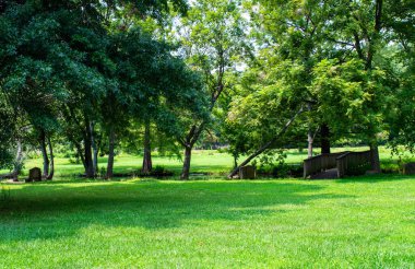 Ağaçlar ve açık alanlar arasında yemyeşil bir arazide tırabzan bulunan tuhaf bir yürüyüş köprüsü..