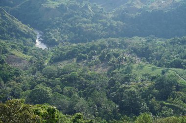 Indonesian natural atmosphere on the mountain with green trees